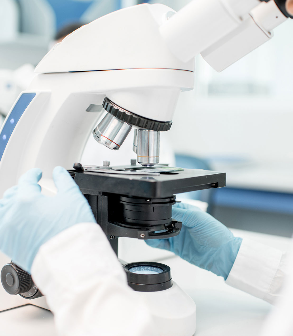 성분 및 기능 차이