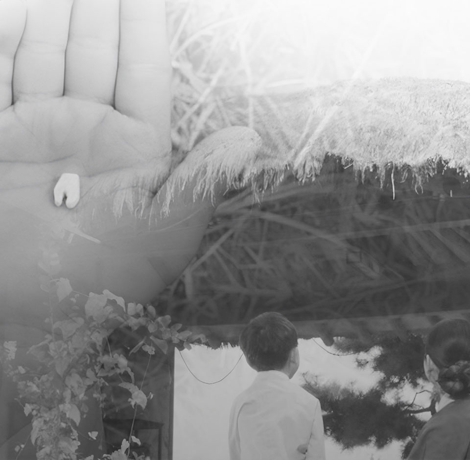 헌 이 줄께 새 이 다오.